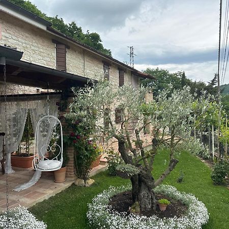 B&B Il Poggetto Serra Sant'Abbondio Luaran gambar