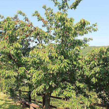 B&B Il Poggetto Serra Sant'Abbondio Luaran gambar