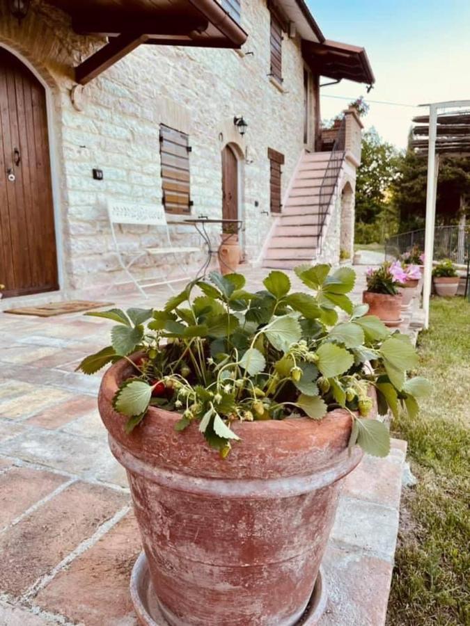 B&B Il Poggetto Serra Sant'Abbondio Luaran gambar