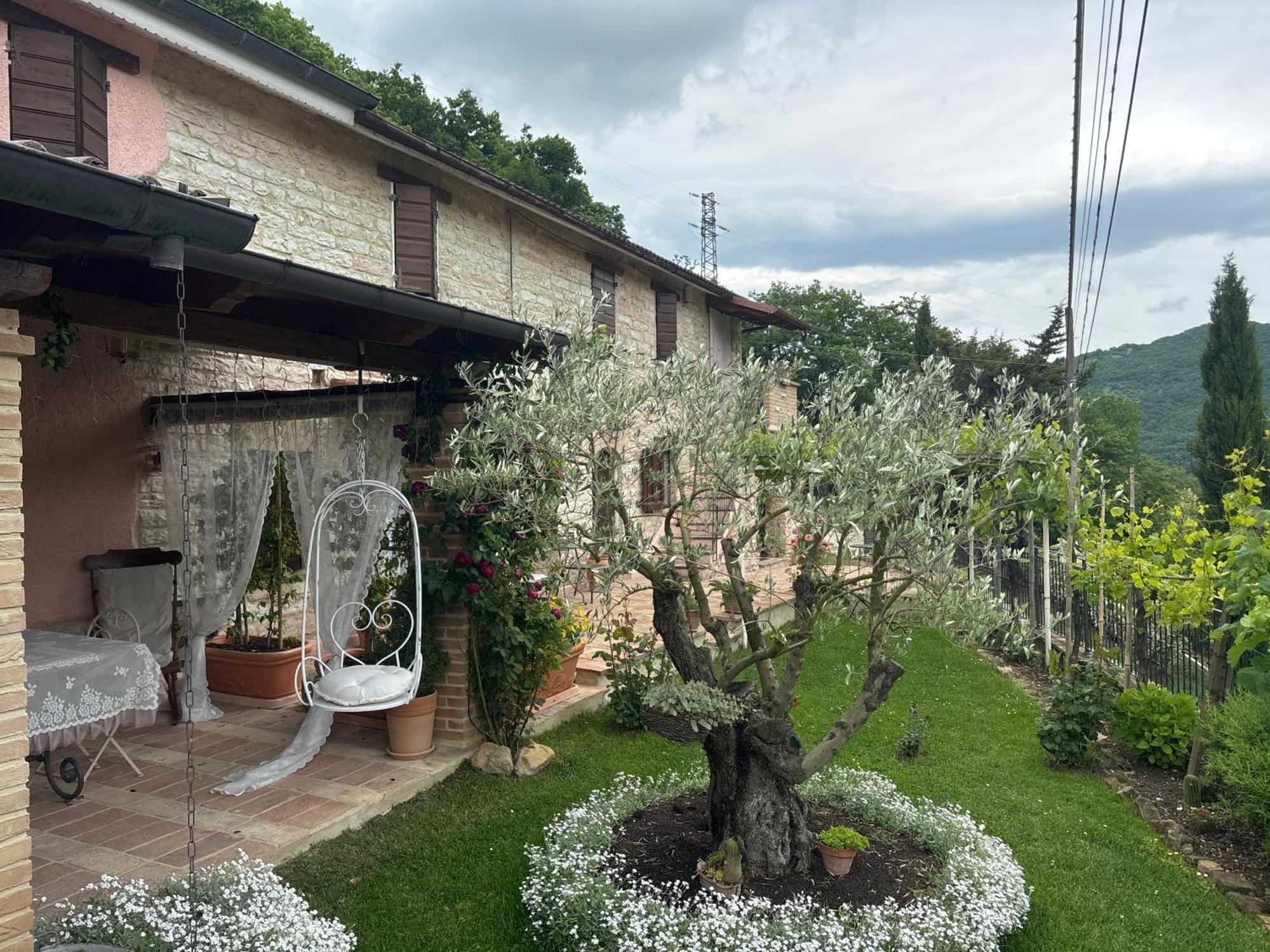 B&B Il Poggetto Serra Sant'Abbondio Luaran gambar
