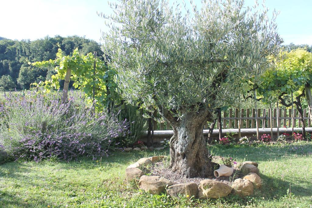 B&B Il Poggetto Serra Sant'Abbondio Luaran gambar